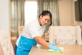 Houston House Cleaning Maid Services Trustworthy Cleaning Services