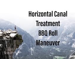 horizontal c treatment bbq roll