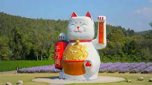 Fortune Cat Stock Footage Royalty