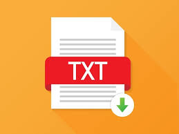 datei ads txt in wordpress