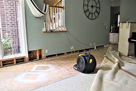 lujan s carpet cleaning home page