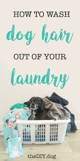 how to wash dog hair out of clothes and