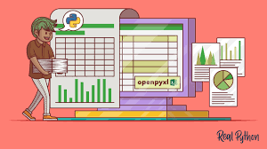 a guide to excel spreadsheets in python