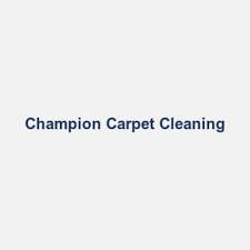 8 best denton carpet cleaners