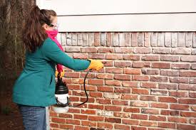 How To Remove Paint From Exterior Brick