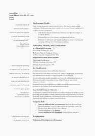 Professional Profile Resume Lovely Personal Profile Examples For