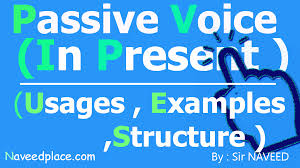 English simple present tense positive, negative, question examples positive negative question his wife sets the table. Present Indefinite Tense Passive Voice Exercises With Pictures