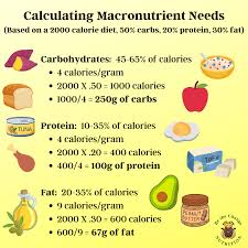 calculating macronutrient needs be