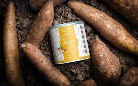 yacon root r diabetic potato