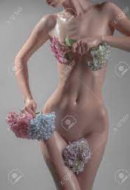 若いきれいな女性裸セクシーなスリムな濡れたボディとベリーダンス スタジオ灰色の背景上の手でアジサイの花の花束を保持の裸の胸の写真素材・画像素材  Image 59874186