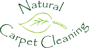 natural carpet cleaning mason mi