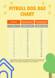 free pitbull dog age chart