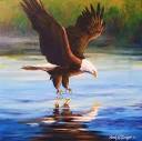 Bald Eagle by Sarah Grangier