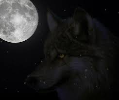 We did not find results for: Spirit Wolf This Wolf Image Was Created By Jeremy In Photo Andrew Mccluskey Flickr