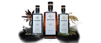 Inverroche, the pioneer of handcrafted luxury gin brand appoints Clockwork  for global creative task - Clockwork