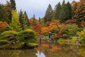 Seattle Japanese Garden Seattle