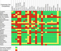 Freshwater Fish Compatibility Chart Aquariumideas