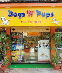 The pet store provides the friendliest service in chambersburg! Top 50 Pet Shops In Nerul Mumbai Best Pet Store Suppliers Justdial