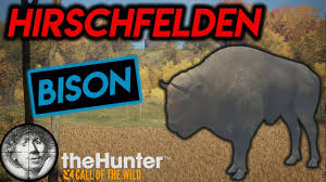 You play them, and they attract animals to you. Comeback Bison Hunting Hirschfelden Thehunter Call Of The Wild 2019 Youtube