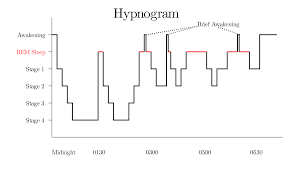 The Interactive Trigonometry Of Sleep Cycles Surrounded By