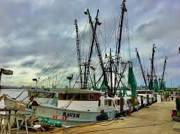 florida fisheries wait for federal aid