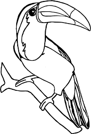 The monkey click here for pdf format: Toucan Coloring Page Coloring Home