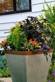 how to arrange plants in containers 7