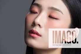beauty makeup face features china