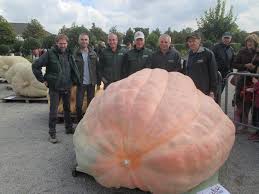 How Do You Breed A 2 624 Pound Pumpkin Popular Science