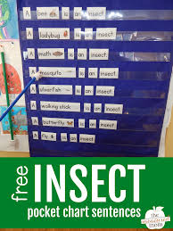 Free Insect Themed Pocket Chart Sentences The Measured Mom