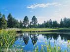 Meadow Park Golf Course | Tacoma, WA 98467