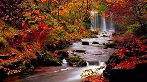 fall wallpapers top free fall