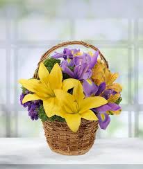 We did not find results for: Spring Meadow Flower Basket Avas Flowers