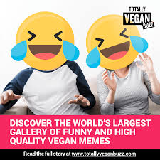 240p 1080p meme on sizzle. Vegan Meme Gallery Totally Vegan Buzz
