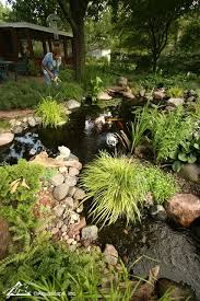 Stunning Garden Pond Takes Center Stage