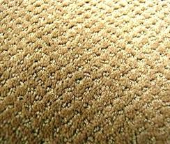 Who Makes Stainmaster Carpet For Lowes Eugeniedalland Co