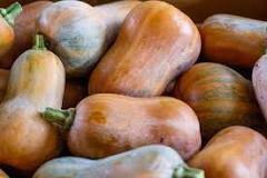What is honeynut squash good for?