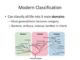 Classification And Taxonomy Ppt Video Online Download