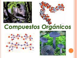 Propiedades de los compuestos orgánicos