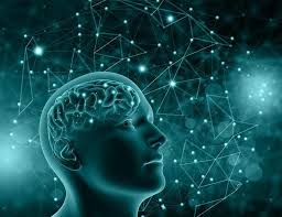 La microgravedad afecta la conectividad cerebral relacionada a la  percepción y el movimiento