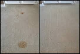 turner s carpet cleaning