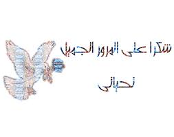 رسالة من مرتضى منصور إلى مؤمن زكريا Images?q=tbn:ANd9GcTtwAH8f633breWr46OEAmETKwtGAXcvE9USHPsWNMDlrj49XiLZQ