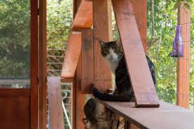 How To Build A Safe And Stylish Catio