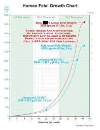 Amicus Illustration Of Amicus Medical Fetal Growth Chart