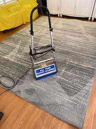 professional area rug carpet cleaner in