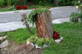Tree Stump Left As Garden Decoration