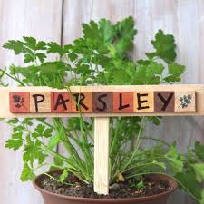 Diy Wooden Plant Markers
