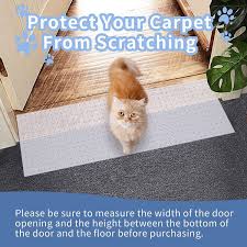 carpet scratch stopper stop cat