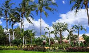 Great South Florida Landscaping Ideas