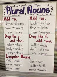 Plural Nouns Anchor Chart Image Only Grammar Noun